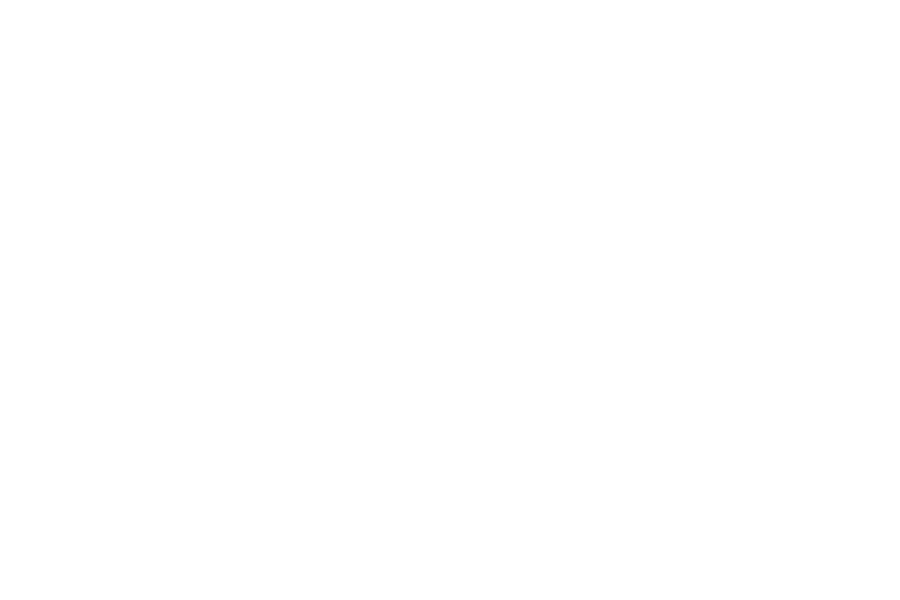 Longtail Aviation